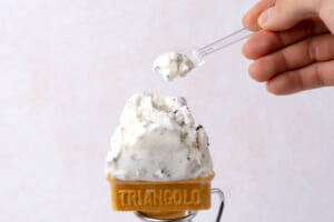ジェラート定番人気のホワイトクリーム