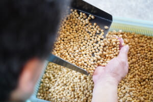 健康志向の栄養価の高い大豆