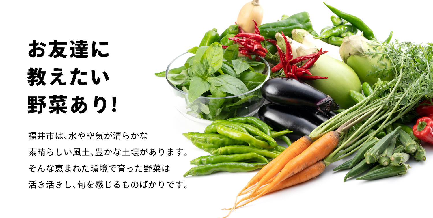 野菜／農産物