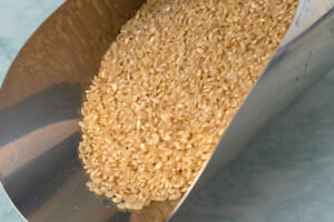 お米の乾燥機と低温貯蔵庫