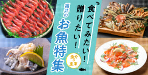 食べてみたい！贈りたい！魚介の宝庫福井のお魚特集