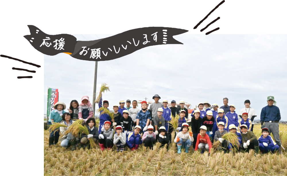 円山小学校と地域の農家が参加する「円山リゾット米プロジェクト」