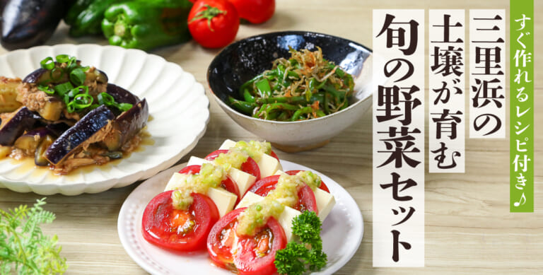 すぐ作れるレシピ付き♪三里浜の土壌が育くむ旬の野菜セット