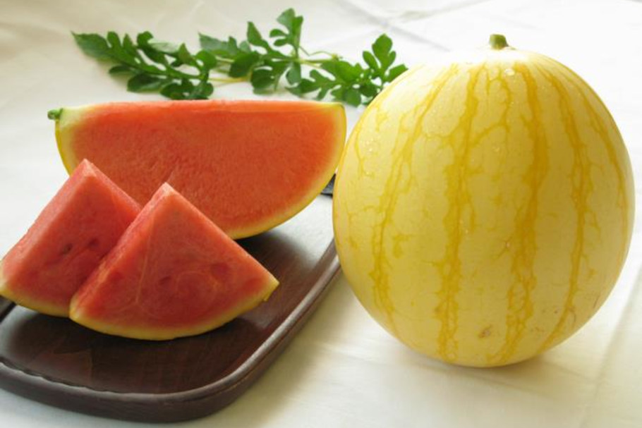抜群の甘さと食べやすさで金福すいかを満喫